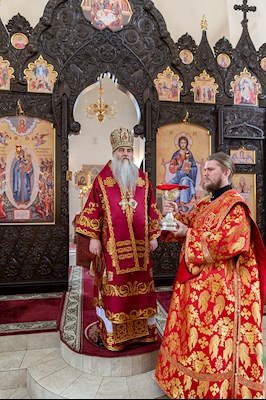 Божественная литургия в храме в честь иконы Божией Матери «Всех скорбящих Радость» г. Саратова