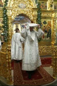 Рождественская Божественная литургия в Свято-Троицком кафедральном соборе Саратова