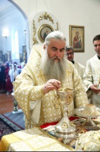 Божественная литургия в храме в честь Покрова Пресвятой Богородицы р.п. Новые Бурасы