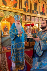 Божественная литургия в храме в честь Сретения Господня г.Саратова