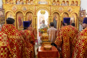 Божественная литургия в храме святого благоверного князя Александра Невского г. Саратова