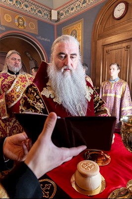 Божественная литургия в Свято-Троицком кафедральном соборе г. Саратова