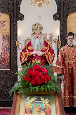 Божественная литургия в храме в честь иконы Божией Матери «Всех скорбящих Радость» г. Саратова