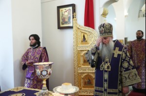 Божественная литургия в храме в честь Рождества Христова г.Саратова