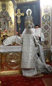 Рождественская Божественная литургия в Свято-Троицком кафедральном соборе Саратова