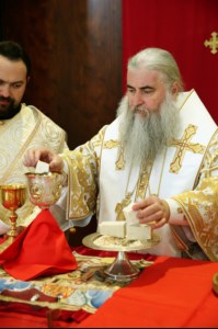 Божественная литургия в Свято-Алексиевском женском монастыре г.Саратова