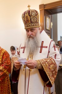 Божественная литургия в храме святого благоверного князя Александра Невского г. Саратова