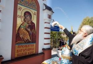 Божественная литургия в храме в честь Владимирской иконы Божией Матери с. Багаевка Саратовского района