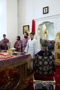 Божественная литургия в храме в честь Рождества Христова г.Саратова