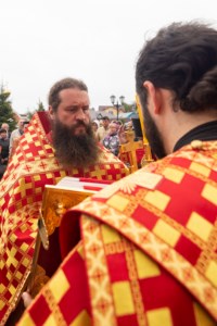 Божественная литургия в Свято-Алексиевском женском монастыре г. Саратова
