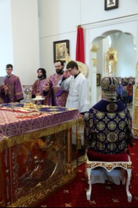 Божественная литургия в храме в честь Рождества Христова г.Саратова