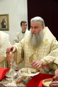 Божественная литургия в храме в честь Покрова Пресвятой Богородицы р.п. Новые Бурасы
