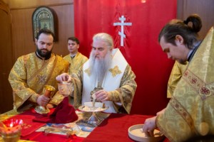 Божественная литургия в храме Сошествия Святого Духа г. Саратова