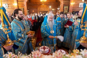 Божественная литургия в храме в честь Сретения Господня г.Саратова