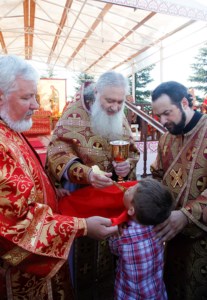 Божественная литургия в Вавиловом Доле