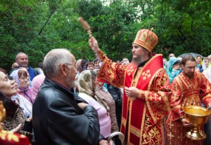 Божественная литургия в Вавиловом Доле