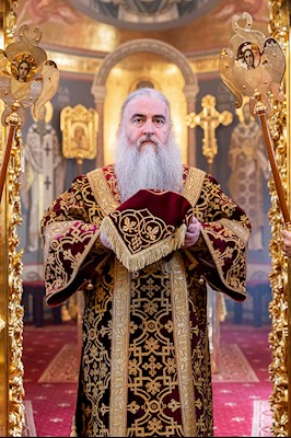 Божественная литургия в Свято-Троицком кафедральном соборе г. Саратова