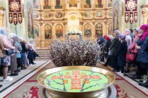 Божественная литургия в храме в честь Покрова Пресвятой Богородицы г. Саратова