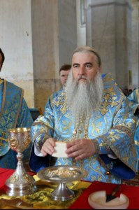 Божественная литургия в храме в честь Покрова Пресвятой Богородицы села Сокур Татищевского района