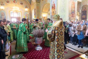 Божественная литургия в храме в честь Покрова Пресвятой Богородицы г. Саратова