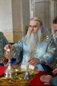 Божественная литургия в храме в честь Покрова Пресвятой Богородицы села Сокур Татищевского района