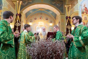 Божественная литургия в храме в честь Покрова Пресвятой Богородицы г. Саратова