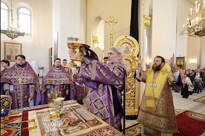 Митрополит Игнатий совершил Божественную литургию в соборном храме святителя Спиридона Тримифунтского г. Саратова