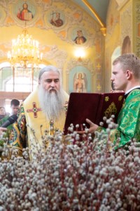 Божественная литургия в храме в честь Покрова Пресвятой Богородицы г. Саратова