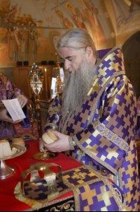 Крещальная литургия в Свято-Троицком соборе Саратова