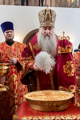 Божественная литургия в храме в честь иконы Божией Матери «Всех скорбящих Радость» г. Саратова