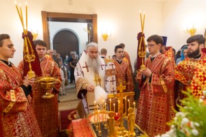 Божественная литургия в храме святого благоверного князя Александра Невского г. Саратова