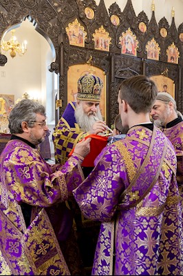 Божественная литургия в храме в честь иконы Божией Матери «Всех скорбящих Радость» г. Саратова