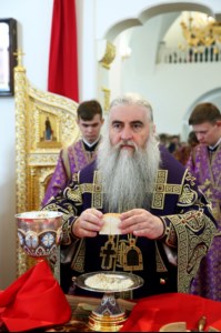 Божественная литургия в храме в честь Рождества Христова г.Саратова