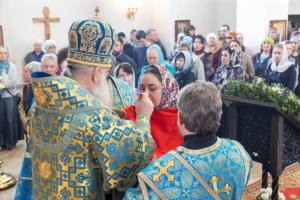 Божественная литургия в храме в честь иконы Божией Матери «Всех скорбящих Радость» г. Саратова