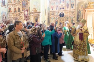Божественная литургия в храме в честь Покрова Пресвятой Богородицы г. Саратова