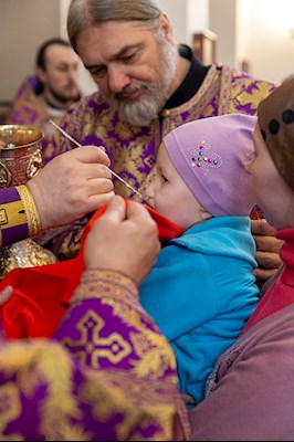Божественная литургия в храме в честь иконы Божией Матери «Всех скорбящих Радость» г. Саратова