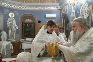 Рождественская Божественная литургия в Свято-Троицком кафедральном соборе Саратова