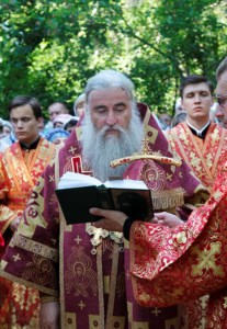 Божественная литургия в Вавиловом Доле