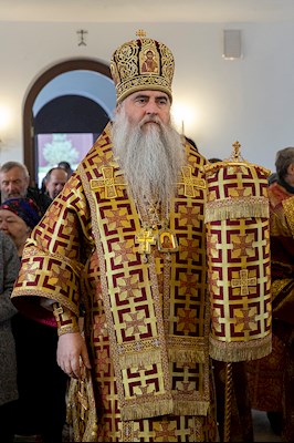 Божественная литургия в храме во имя святых бессребреников и чудотворцев Космы и Дамиана г. Саратова