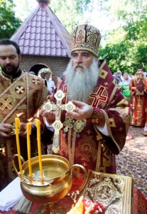 Божественная литургия в Вавиловом Доле