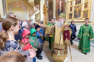Божественная литургия в храме в честь Покрова Пресвятой Богородицы г. Саратова
