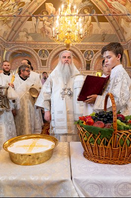 Божественная литургия в Свято-Троицком кафедральном соборе г. Саратова