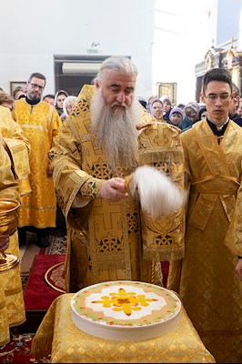 Божественная литургия в Свято-Иоанновском женском монастыре с. Алексеевка Хвалынского района