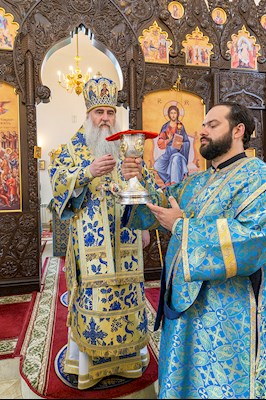 Божественная литургия в храма в честь иконы Божией Матери «Всех скорбящих Радость» г. Саратова