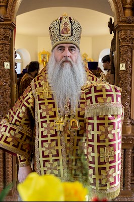 Божественная литургия в храме во имя святых бессребреников и чудотворцев Космы и Дамиана г. Саратова