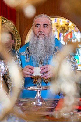 Божественная литургия на Архиерейском подворье – в храме в честь иконы Божией Матери «Утоли моя печали» г. Саратова