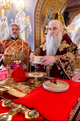 Божественная литургия в Свято-Троицком кафедральном соборе г. Саратова