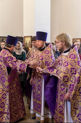 Божественная литургия в храме в честь иконы Божией Матери «Всех скорбящих Радость» г. Саратова