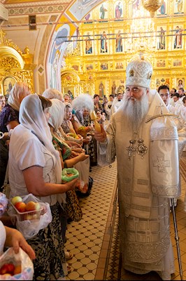 Божественная литургия в Свято-Троицком кафедральном соборе г. Саратова