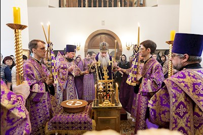 Божественная литургия в храме в честь иконы Божией Матери «Всех скорбящих Радость» г. Саратова